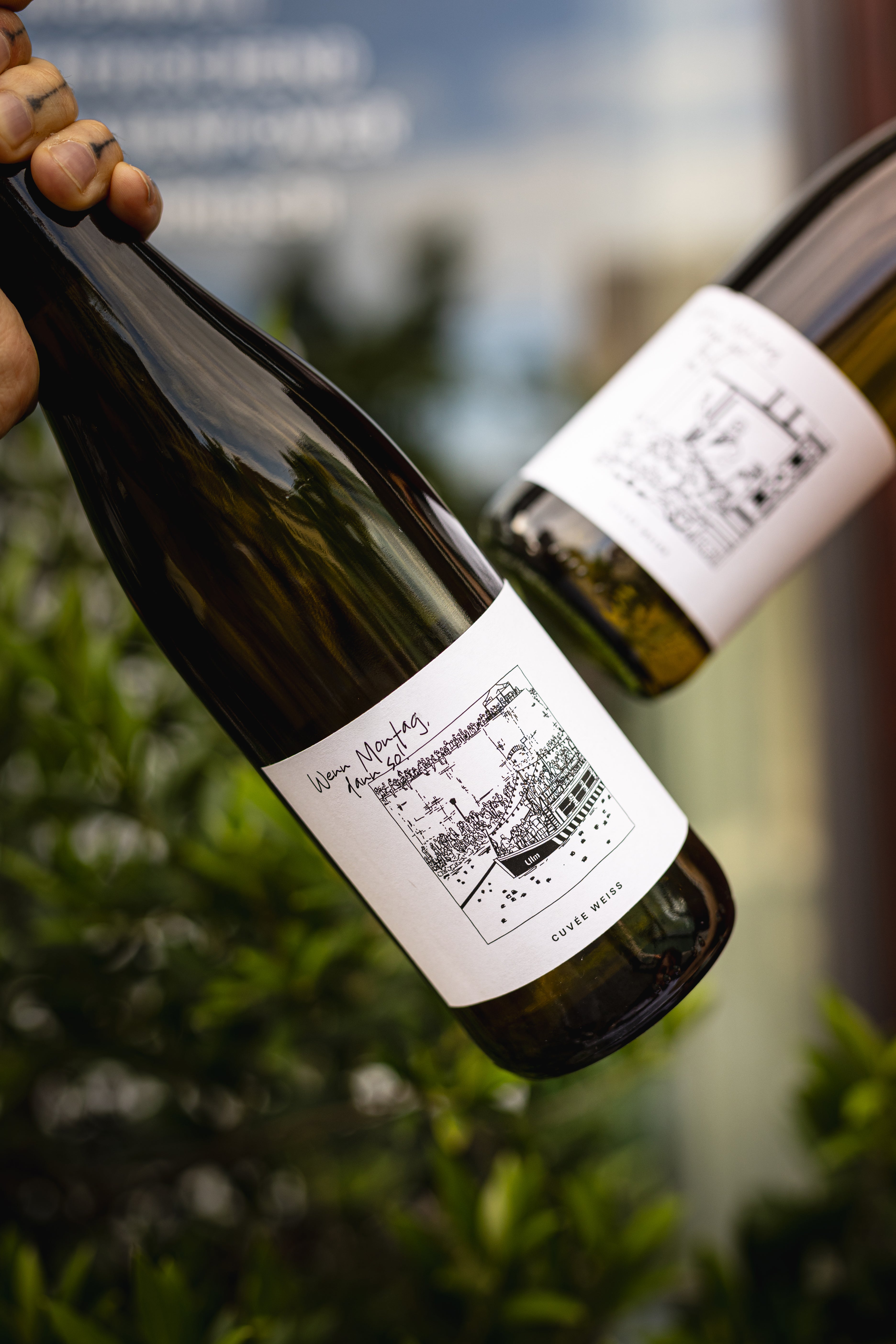 schwörwein: cuvée weiß